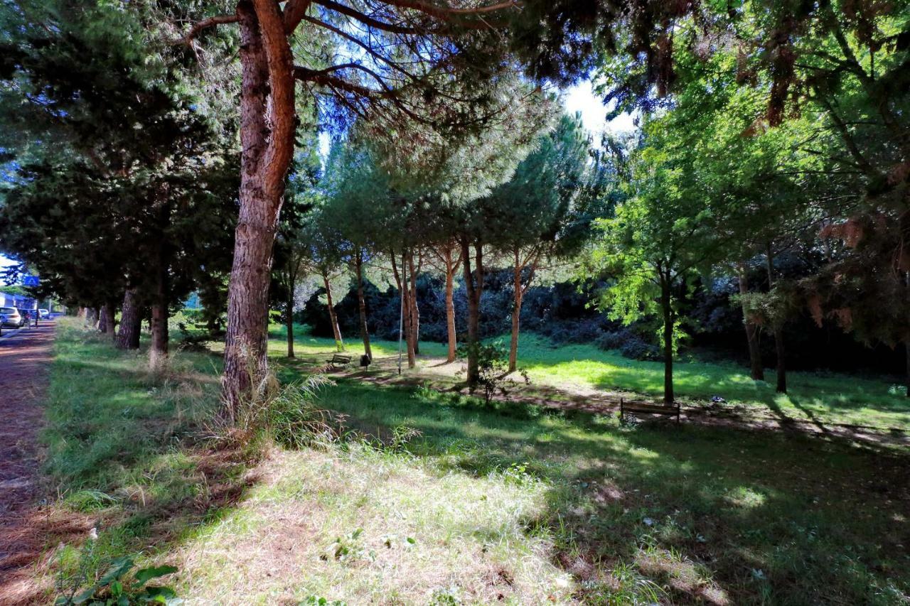 Aurelia Relax Apartment Roma Dış mekan fotoğraf